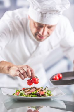 Otel ya da restoranın mutfağında aşçı Foo 'yu dekore eder.