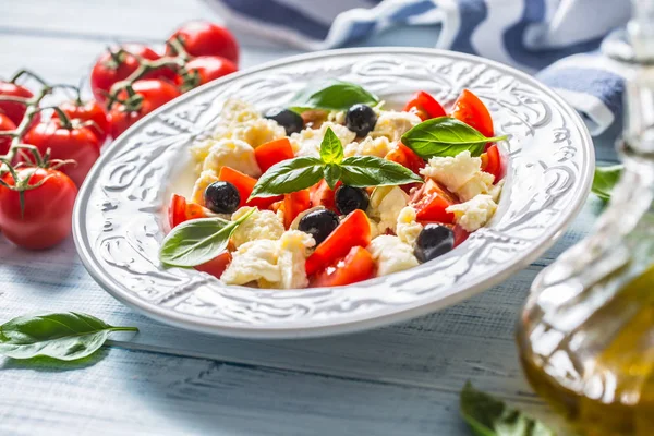 Caprese-Salat mit Mozzarella, frischen Tomaten, Oliven und Basilikumblättern. Italienische oder mediterrane gesunde Mahlzeit — Stockfoto