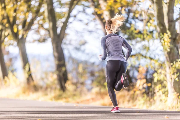 Biegacz Kobieta w jesiennym parku drzewo aleja szkolenia w Sports Therma — Zdjęcie stockowe