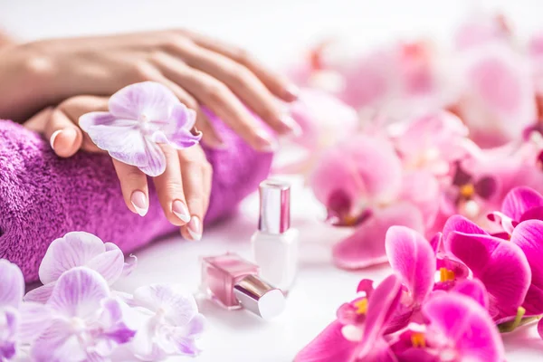 Krásná manikúra nehtů s dekorací z růžové orchideje — Stock fotografie