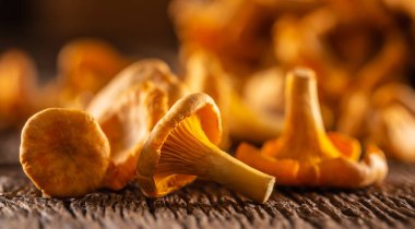 Çiğ chanterelles mantarı maydanoz otlarıyla ahşap üzerinde