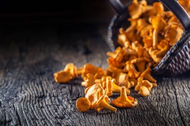 Ahşap bir sepetin üzerine saçılmış çiğ chanterelles mantarı