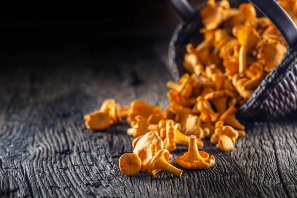 Ahşap bir sepetin üzerine saçılmış çiğ chanterelles mantarı