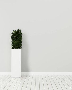 Saksılı boş oda. Evde rahatlayın. modern iç tasarım. -3d render