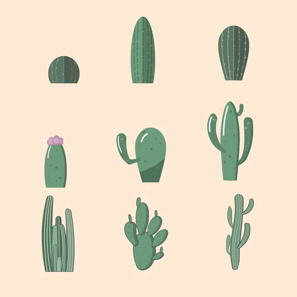 Sada Kaktusových Vektorů Cactus Clip Art Zelená Botanická Grafická Část — Stockový vektor