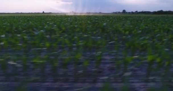 Revelar vista do sistema de irrigação regando um campo de fazenda — Vídeo de Stock