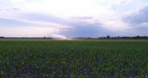 Vista aérea do sistema de irrigação regando um campo de fazenda . — Vídeo de Stock