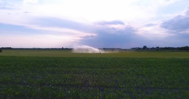 Sistema di irrigazione Irrigazione di un campo agricolo. Movimento telecamera in avanti — Video Stock