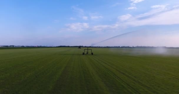 Krąży wokół System nawadniania podlewanie łąka — Wideo stockowe