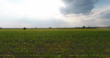 Bir çayır sulama sulama sisteminin düşük havadan görünümü