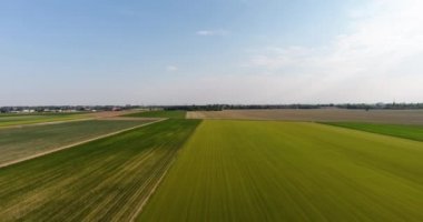 Çayır üzerinde uçan. Havadan görünümü