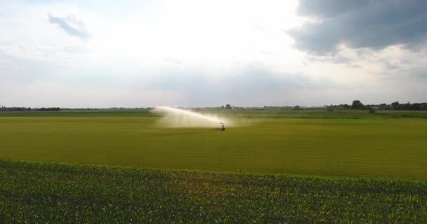 圃場に水をまく灌漑システムの空撮. — ストック動画