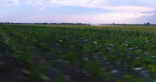Visão baixa aérea do sistema de irrigação que molha um prado — Vídeo de Stock