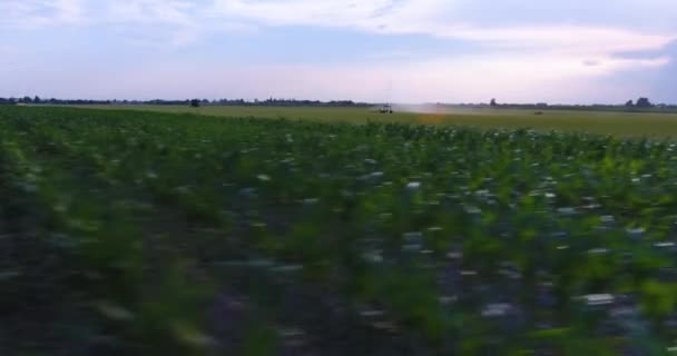 Vue Aérienne Basse Du Système D'irrigation Arrosant Une Prairie — Video