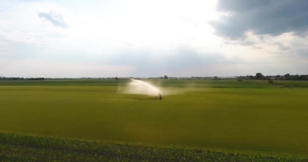 Sistema de irrigação a regar um campo agrícola. Vista aérea — Vídeo de Stock