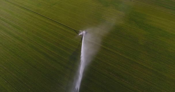 Kastelujärjestelmä kastelu Farm Field. Yleisnäkymä — kuvapankkivideo