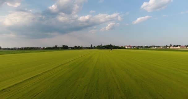 Volare su un prato lussureggiante. Vista aerea — Video Stock