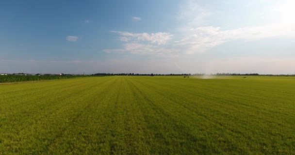 Flying Over Lush Meadow. Aerial View — Stock Video