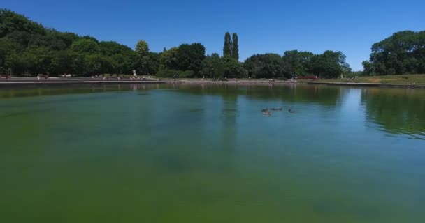 华沙公园池塘低空飞行 — 图库视频影像
