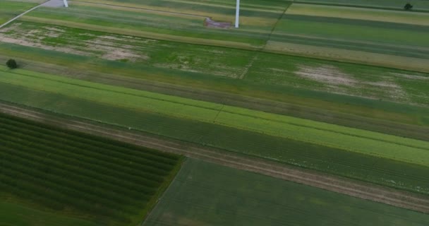 Reveladora toma de la granja de turbinas eólicas. Vista aérea — Vídeo de stock