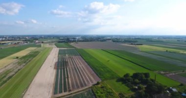 Cornfields hava manzara görünümü