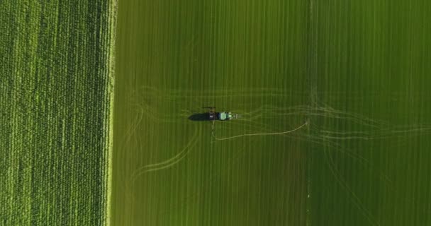 近くの牧草地でトラクター男作品。降順空撮 — ストック動画