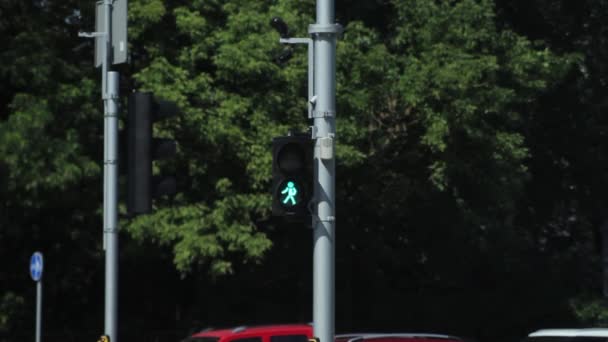 Pedestrian Traffic Light Turns Green — Stock Video