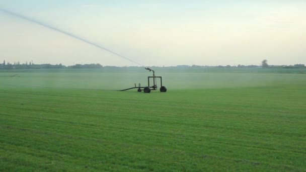 Sistema Irrigação Rega Colheita Precoce Varsóvia Polónia — Vídeo de Stock