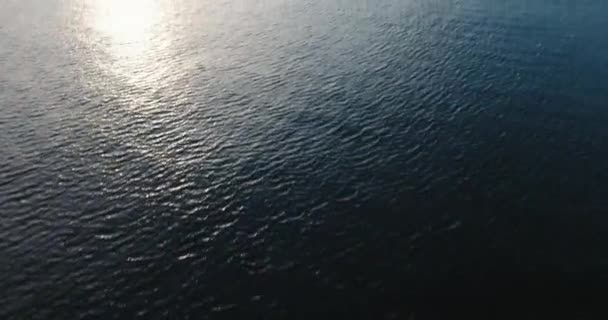 Yacht Bay Gdynia Onthullende Shot Gdynia Polen — Stockvideo