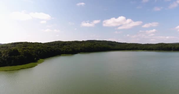 空中: 湖和森林风景 — 图库视频影像