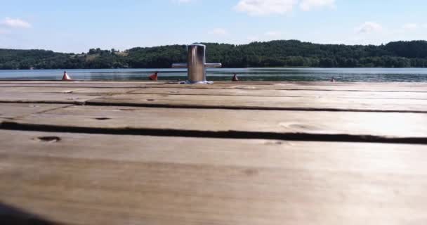 View From Dock. Lake And Forest Background — Stock Video