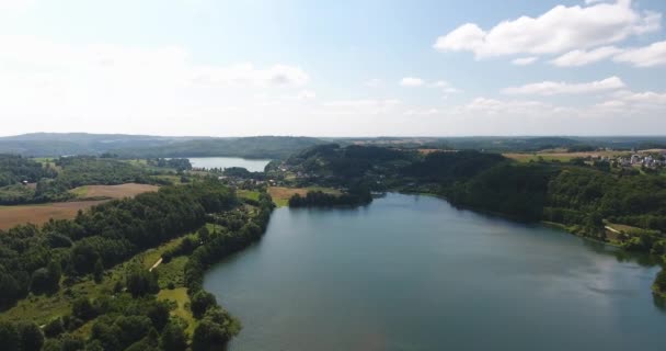 Lago Bosque Rodeado. Panorama aéreo Paisajista Rural — Vídeos de Stock