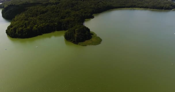 Rivelare vista aerea del lago e del paesaggio forestale — Video Stock