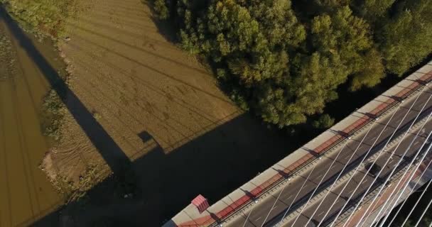 Cámara aérea revelando el puente de cable blanco de pilón — Vídeo de stock