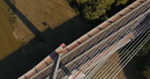 Översiktsbild av Swietokrzyski Bridge — Stockvideo