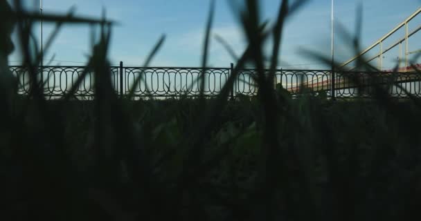 Grass Front Out Focus Background Focus People Walking Kiev Ukraine — Stock Video