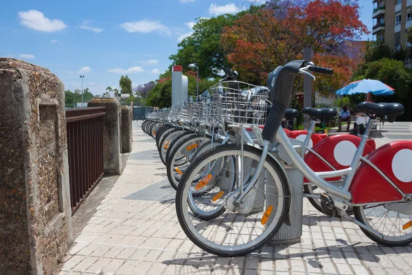 Lot Bycicle Rent Parked Park Sunny Day Green Orange Trees — Stock Photo, Image