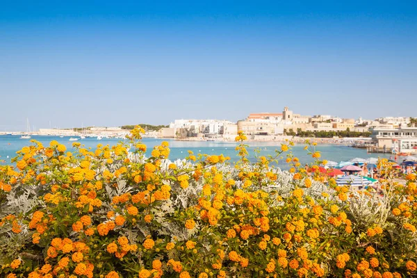 Güzel manzara Otranto şehir: Salento, İtalya. Arka plan deniz ve eski şehrin bir güneşli yaz gününde beyaz taş turuncu çiçekler