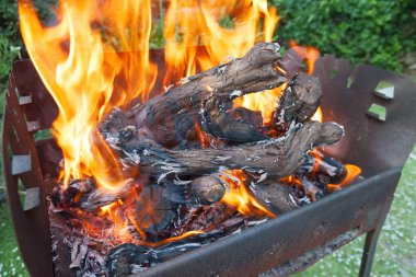 Açık ateş, üzüm, kömürler, açık yaz konsepti dalları yanan boş kömür ızgara