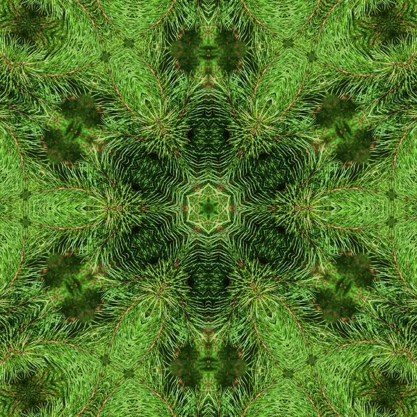 Muster Von Zweigen Grünen Weihnachtsbaum Hintergrund Nahaufnahme Kopierraum Kaleidoskop — Stockfoto