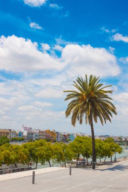 Golden Tower (Torre del Oro), nehir Guadalquivir ve Triana bölgesi yakınında park güzel manzara mavi gökyüzü ve bulutlar beyaz artalan üzerinde. Yaz seyahat 
