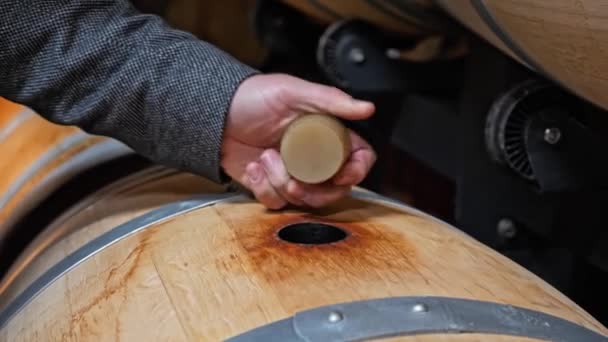 Enólogo haciendo prueba de vino en la bóveda de vino — Vídeos de Stock