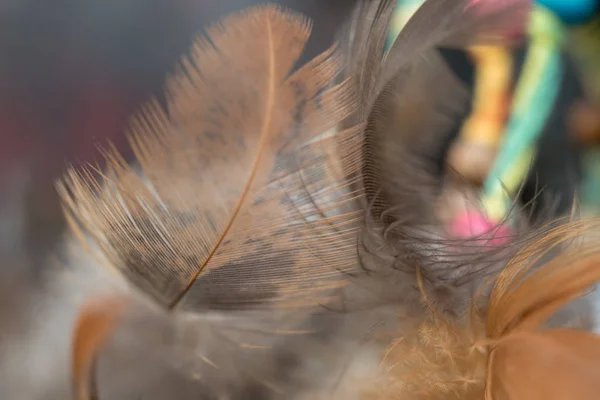 抽象五颜六色的背景与羽毛 — 图库照片
