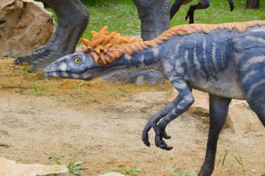 Belgorod, Rusya, 2018 - dinozor parkı, dinozor modeli Troodon 20 Mayıs