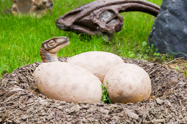 Belgorod, Russia, 20 may 2018 - Dinosaur Park, model clutches of dinosaur eggs with valuewise cub