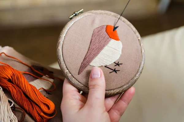 Flicka Broderar Fågel Med Söm Diy Konceptet Hobbies Kreativitet Kläder — Stockfoto