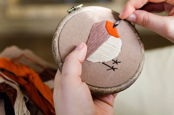 Mädchen Stickt Einen Vogel Mit Einer Naht Diy Konzept Hobbys Stockbild