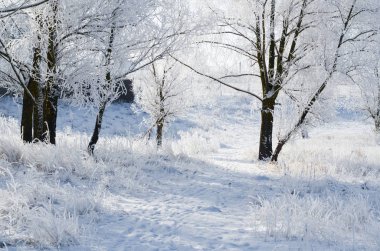 Kış parkındaki patika karla kaplı.