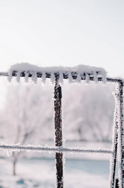 Râteau de jardin couvert de neige et de givre — Photo