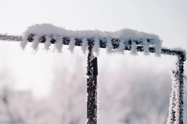 Gartenharke mit Schnee und Frost bedeckt Stockfoto